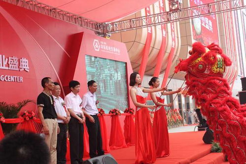 新鄉(xiāng)禮儀、模特與翻譯服務(wù)綜合指南